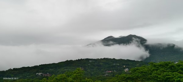 #文化大學 #雲海 #琉璃光 #陽明山秘境 4/253042466