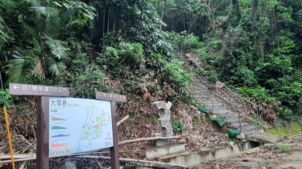 《彰化》西北雨後｜花壇大嶺巷步道群O繞202408242579755