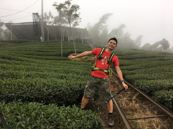 光輝燦爛慶雙十之大石公走到大崙山賞銀杏之旅435485