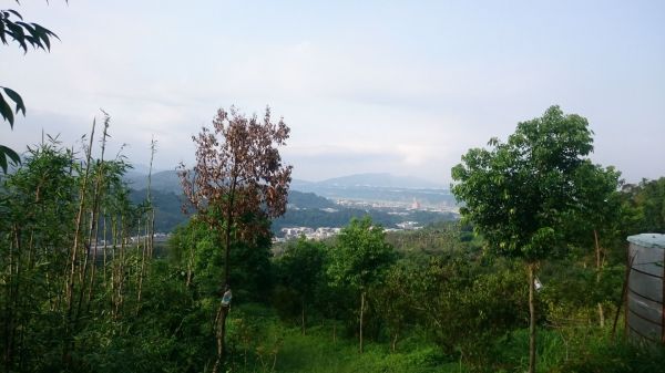 小中嵙登山步道384875