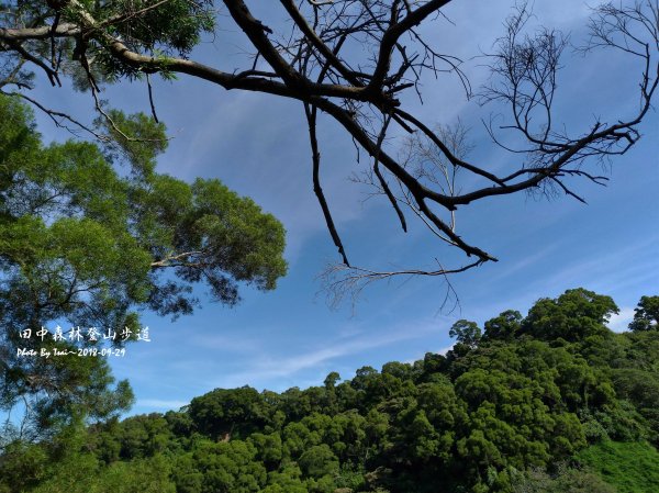 田中森林公園登山步道20180929455546