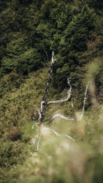 南橫百岳—關山嶺山2383950