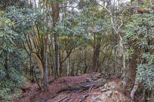 谷關七雄_屋我尾山2977014