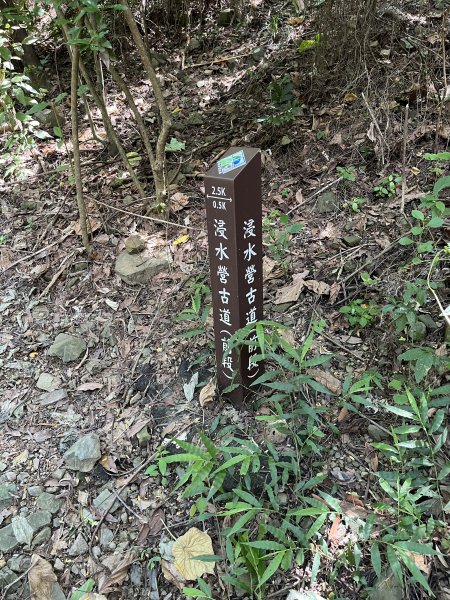 [屏步青雲 尋寶任務-04/10] 2024_0917 浸水營步道（前段）2597916
