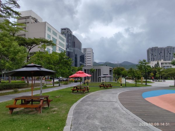 大港墘公園、文德三號公園【臺北健走趣】2909562