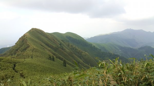 阿興阿賢小觀音山562678