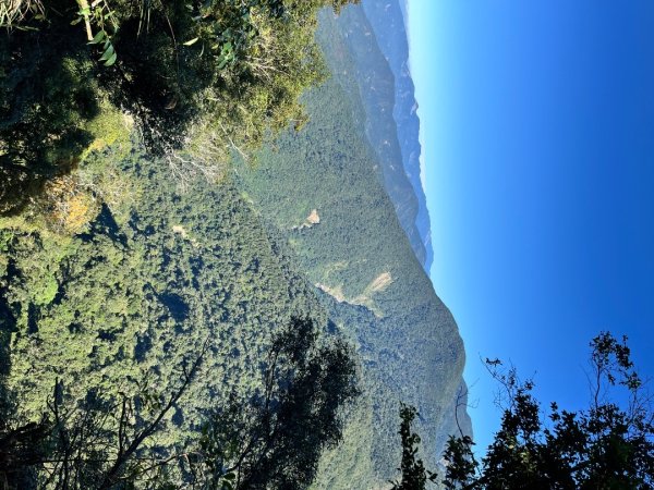 20251116_鳴海山（高雄小百岳）2941569