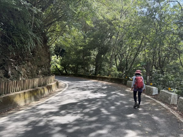 塔曼山 連走 拉拉山森林遊樂區 O繞 202510112923699