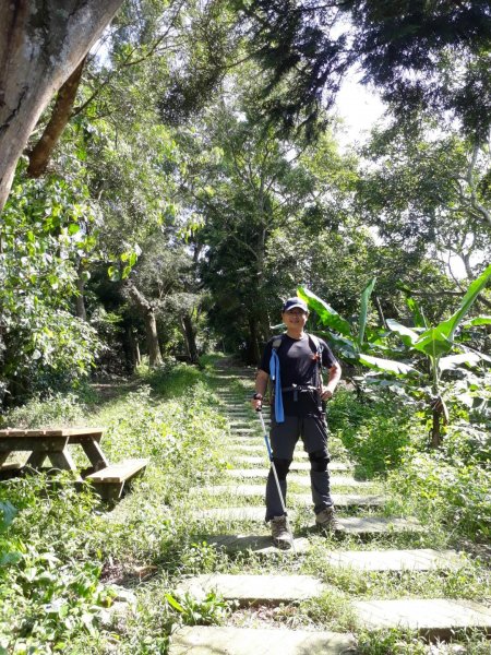 台中太平三汀山步道20190615610595