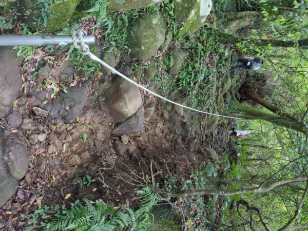 第二段：二子坪→小油坑2759587