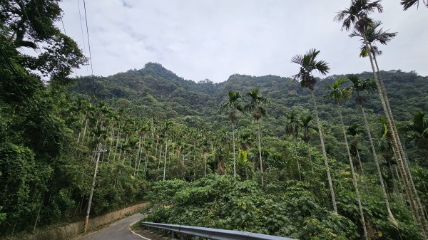 【山形暗影綽綽，我們步履不停，只為那枚海拔千尺下的獨特三角點。】小百岳#044暗影山2943640