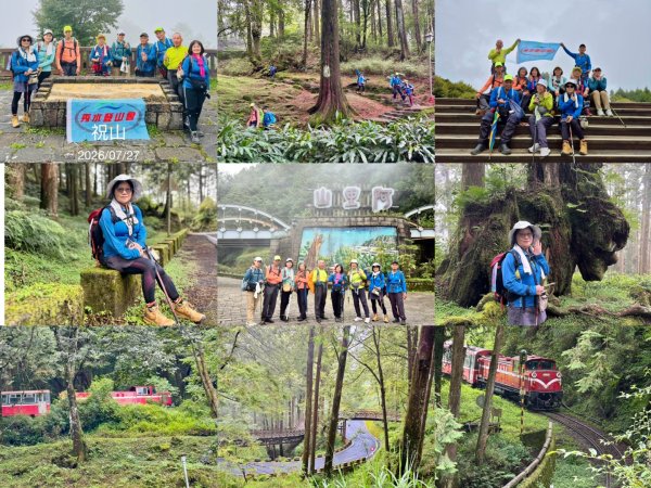 阿里山小笠原祝山森林遊