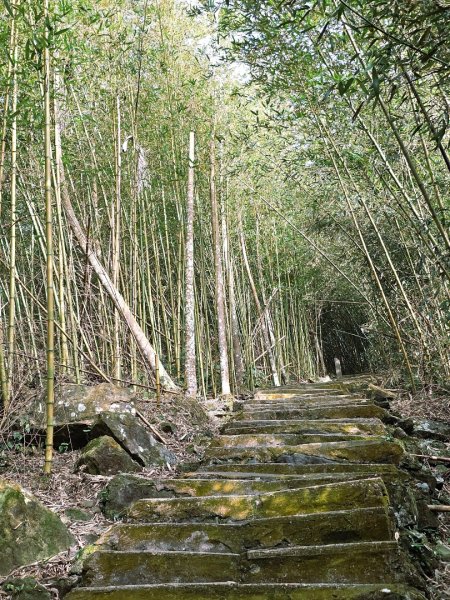 雲嘉大尖山、二尖山步道--(雲林)臺灣百大必訪步道2955782