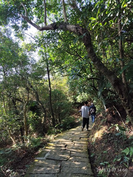【臺北大縱走 5】碧山巖→忠勇山越嶺步道→金龍產業道路→圓明寺步道→鄭成功廟→潛園→格物台→劍潭古寺2958983