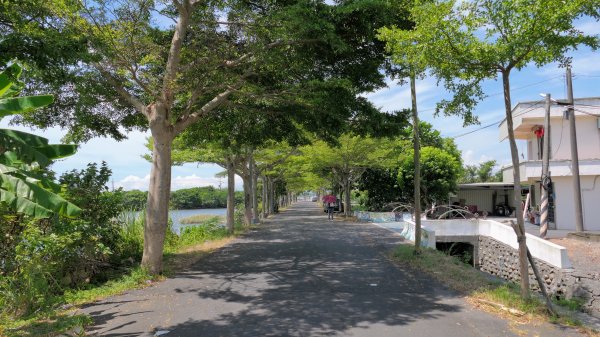 頭城綠色隧道,八角瞭望台2549379