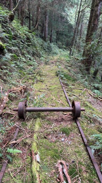 太平山運材軌道見晴線2588840