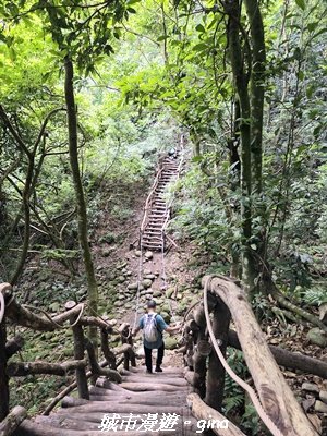 【台中北屯】大坑1號步道3095057