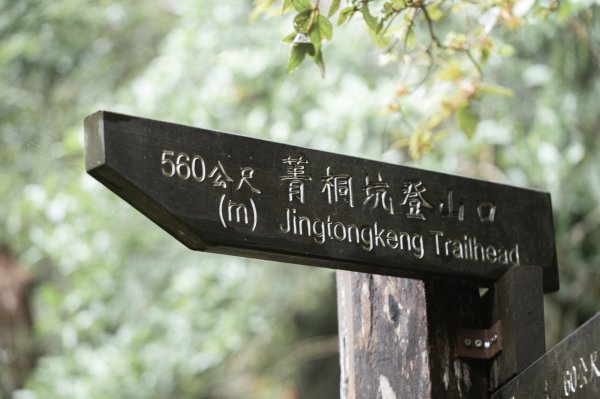 傳說中的「魔神仔洞」| 菁桐古道（汐止段＆平溪段）2721262