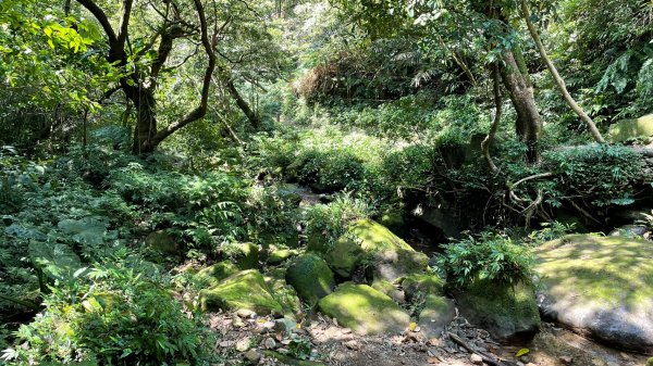 新北｜瑞芳．雙溪 淡蘭古道中路．暖東舊道（TK2-1~2-5 暖東峽谷步道、暖東舊道、五分山步道）2004170