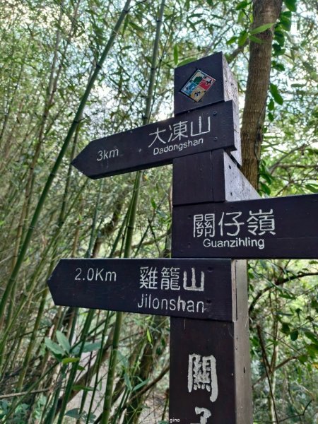 【台南白河】雞籠山+九龍山+大凍山O繞縱走2797116