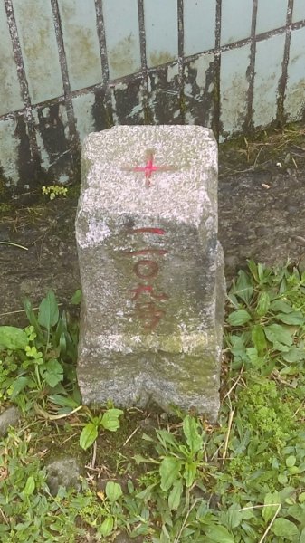 黃金一稜（基隆山小百岳，雷霆峰）566936