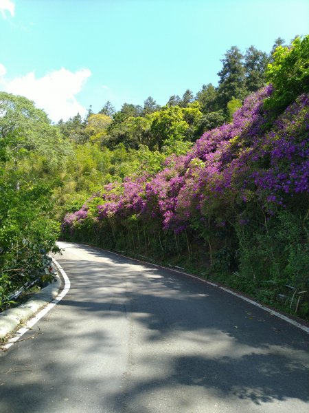 2022-04-09 迷糊步道_福山古道O型1668186