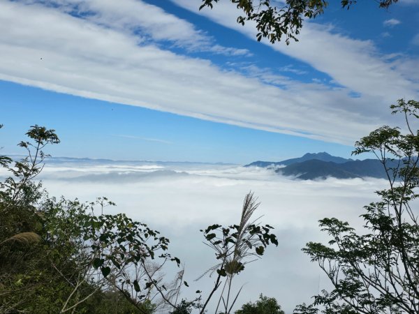 馬那邦山之雲海／雲瀑／楓紅／太陽琉璃光2668293