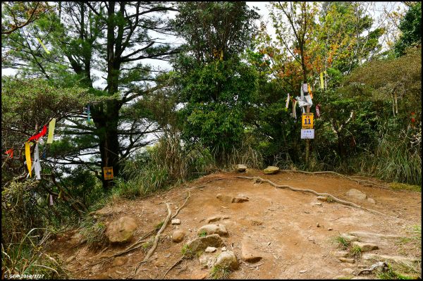 加里山 ~ 大坪經杜鵑嶺小O環走299995