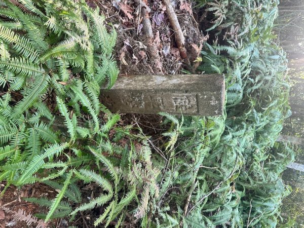 新竹新埔-蓮華山古道2628613