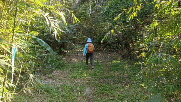 (姨婆趴趴走)第四十九集:攀登連走宜蘭梗枋山、橋板湖山2747713