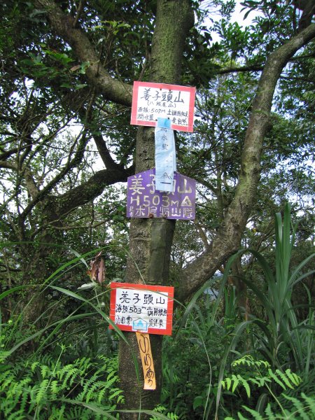 石硿大崙/姜子頭山1959519