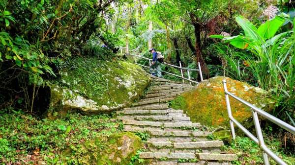 你若來汐止2961406