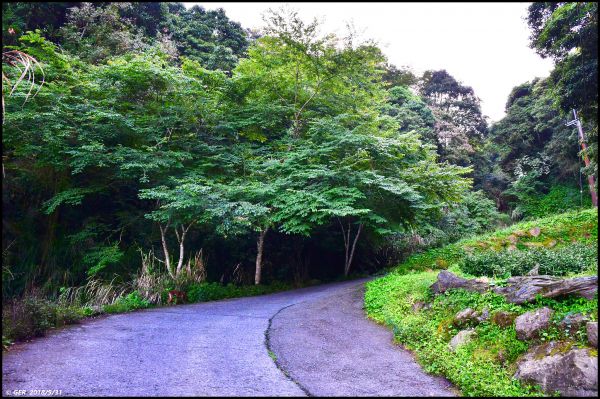 一座鳥山 ~ 金柑樹山 (小百岳)344572