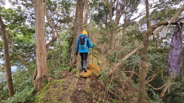 【苗栗郊山聖稜線】仙神象18連峰大縱走2675899