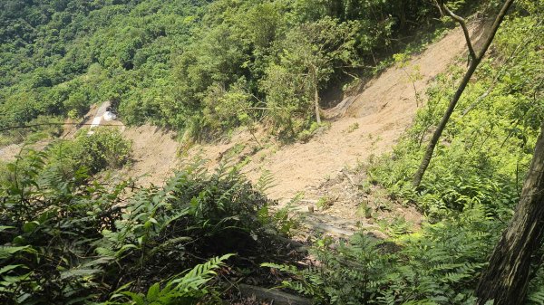 20260507磐山坑山-土地公山-474峰-上下內平林山-大坑山下灣穹3051467