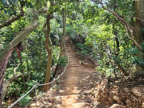 新竹新埔｜文山步道｜犁頭山2891119