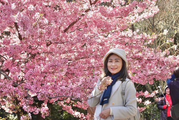 🌈2/16(日)-17(一)福壽山+武陵農場賞櫻🌈🌸FB：熊熊趴爬走 歡迎加入2714872