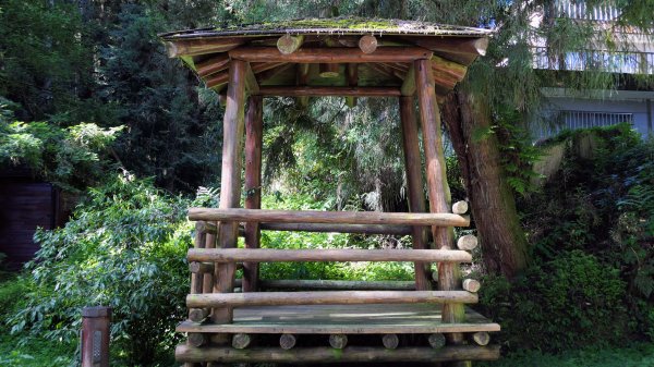 阿里山森遊區-祝山,對高岳步道2536970