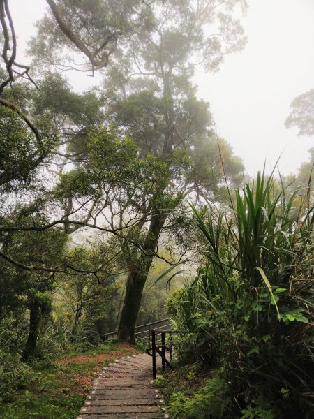 新店小獅山訪11座涼亭縱走待老坑山尋山頭902192