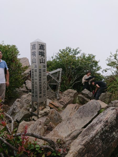 鳶嘴山封面