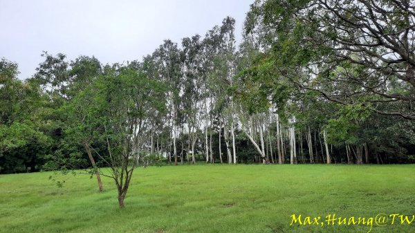 《台中》雙園連走｜東大公園連走都會公園202310072305966
