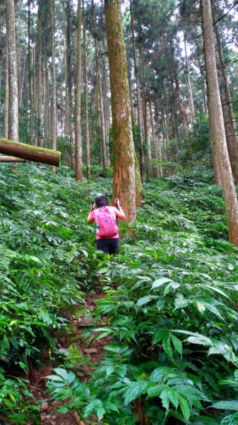 向天湖山O型三角湖山2019/10/20709075