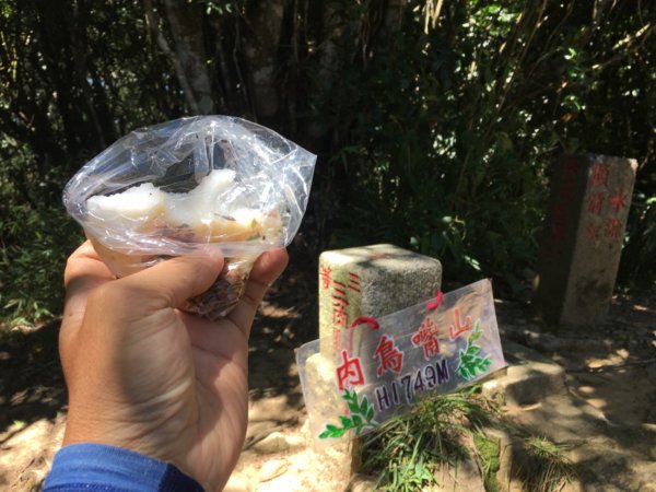 鳥結o. (內鳥嘴、那是山2595877