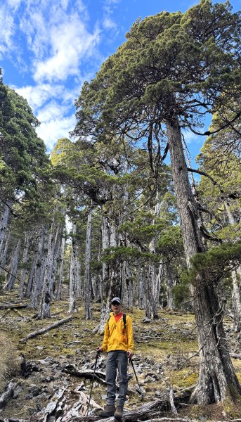 雪山西峰/博可爾山/翠池三叉山與五翠池悠閒走探的山遊記(三日)2838494