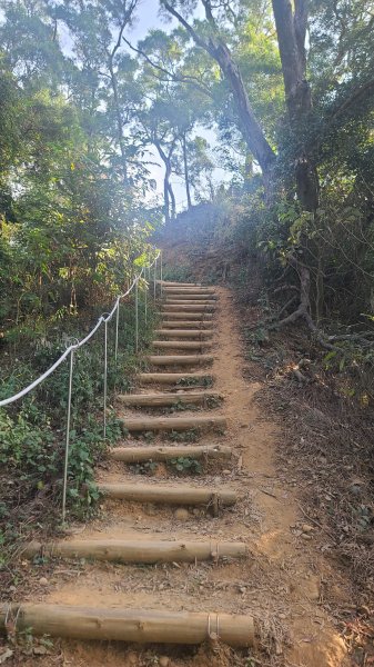 2026-0118新竹新埔文山步道2984656