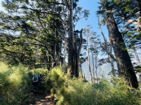 1140404二訪～塔關山2754076