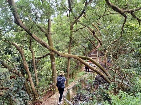 【台中潭子】爬山野餐趣。 新田登山步道x聚興山2899195