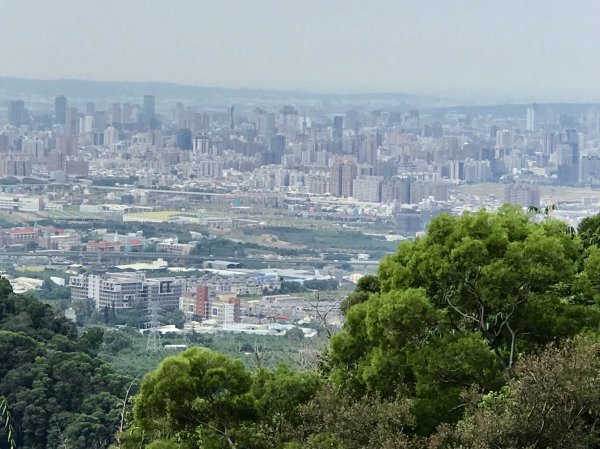 新田登山步道上聚興山437323