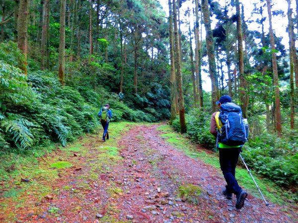 淡蘭古道輕旅行:坪溪古道出外澳546083