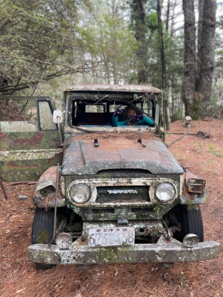 對關追龍貓🚌1967756